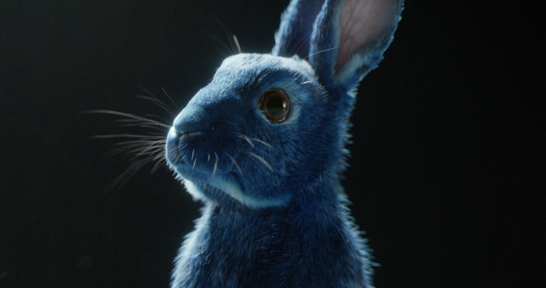 O2: Follow The Rabbit